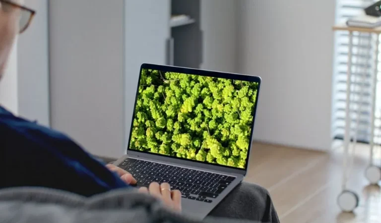 THE GREEN SURFER X TUNO DIGITAL